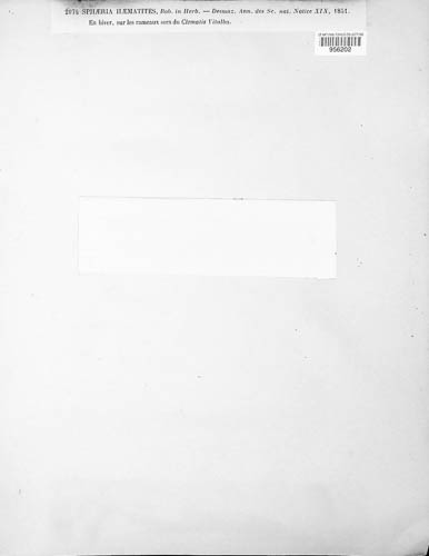Leptosphaeria haematites image